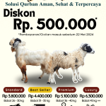 Pricelist Domba Kambing Kurban RT 2024